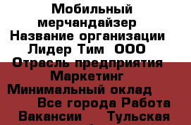 Мобильный мерчандайзер › Название организации ­ Лидер Тим, ООО › Отрасль предприятия ­ Маркетинг › Минимальный оклад ­ 22 500 - Все города Работа » Вакансии   . Тульская обл.